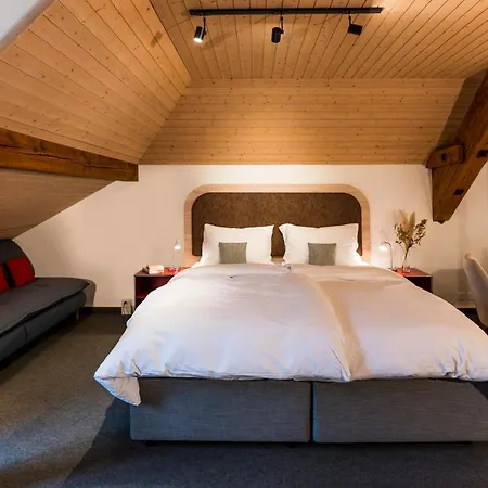 Hotel Koncept Loeie
