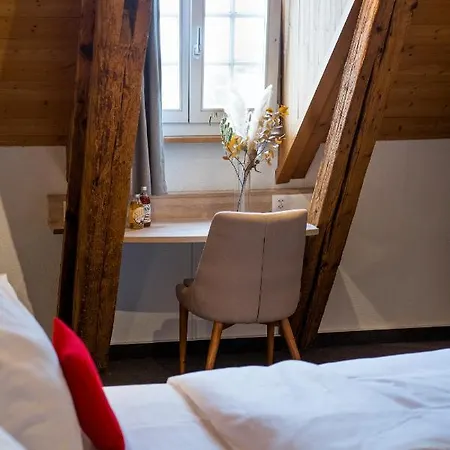 Hotel Koncept Loeie Muensingen